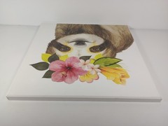 Sloth Tropical Halo Marmont Hill Acrylic Framed Print 12″ x 12″ Stupell Pretty