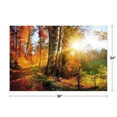 Gorgeous landscape panorama in autumn Poster 24×36 inch