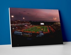 Pitt State Football Stadium Poster or Canvas – Pitt State Gorillas Wall Art