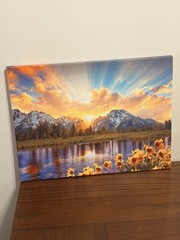 Grand Teton National Park sunflower landscape canvas print wall art