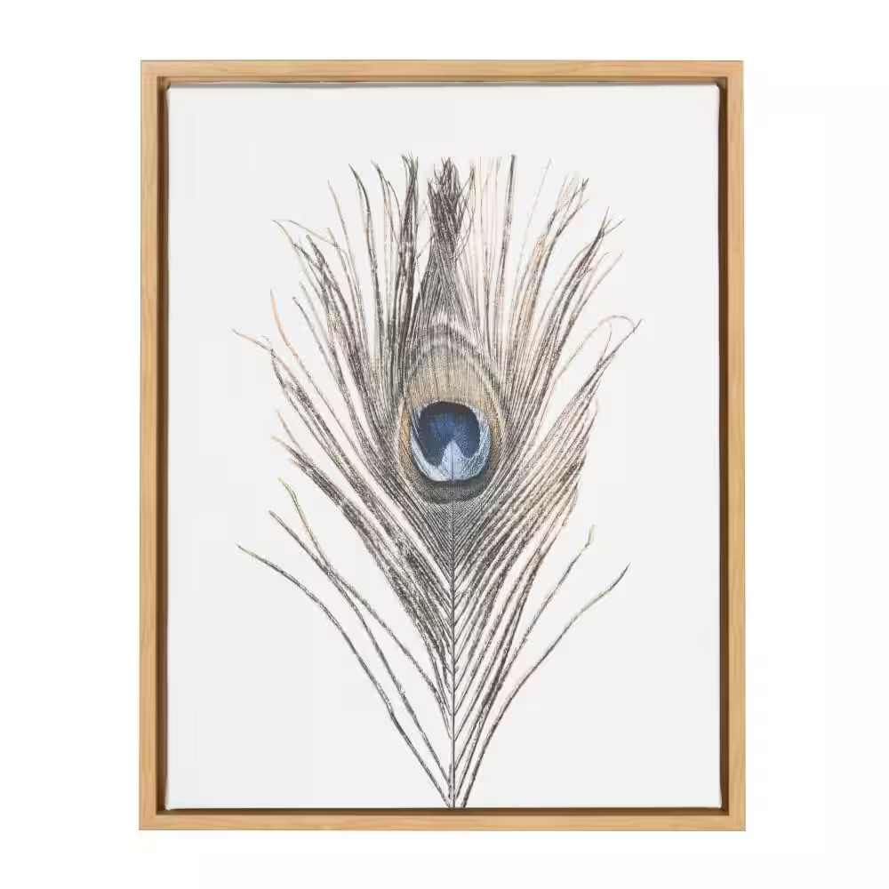 24 In. X 18 In. «Peacock Feather» by Tai Prints Framed Canvas Wall Art