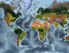 World Map, Van der Grinten Projection World Map, Framed World Relief Map