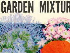 Vintage Garden Seed Packet Digital Print (multiple poster sizes)