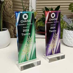 Custom Acrylic Trophy – Add Logo, Employee Recognition Award, Business Gift Plaq