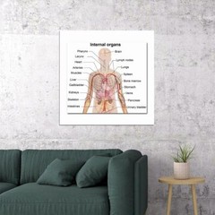 82049 Anatomy Human Body Tutorials Map Wall Print Poster US