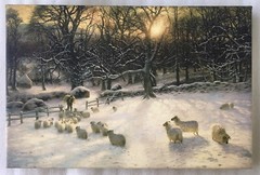 J. Farquharson Sheep Shortening Winter Day Close 12 x 8 inch Stretched Canvas
