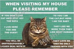 Charming Cat Metal Tin Sign – Funny Home Wall Art for Cat Lovers, 8×12 Inch