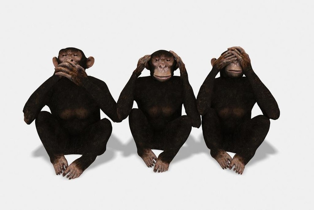 Three Monkeys Speak See and Hear No Evil Conceptual Art Print Poster 36×24