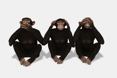 Three Monkeys Speak See and Hear No Evil Conceptual Art Print Poster 36×24