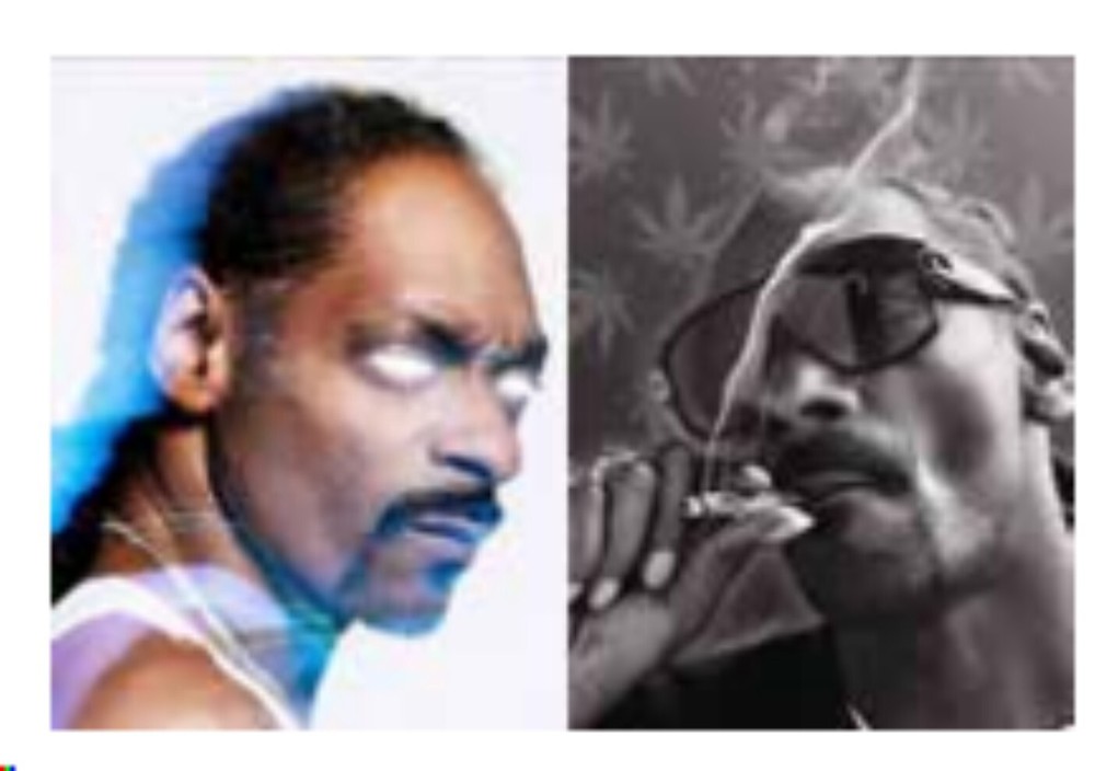 3d changing Snoop Dogg, 2 images in 1!! 15.5″x11.5″