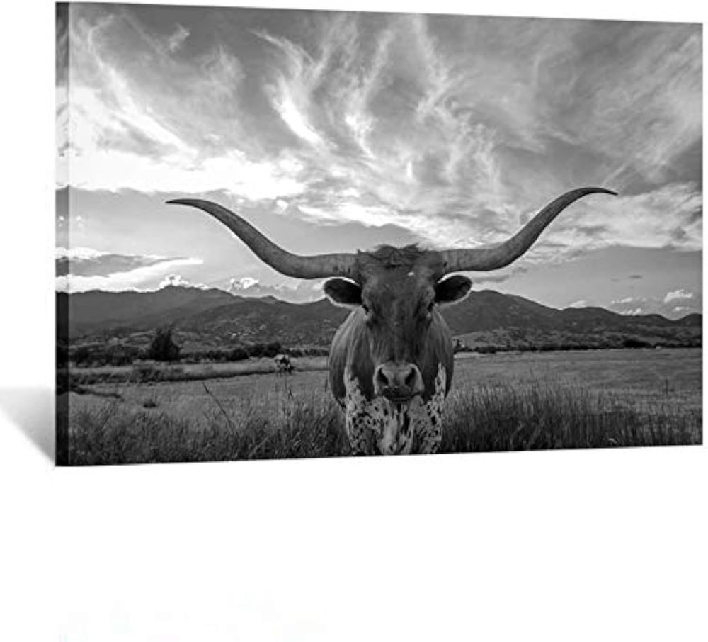 Black and White Texas Animal Canvas Wall Art Highland Cattle with Long Horns …