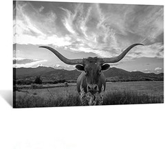Black and White Texas Animal Canvas Wall Art Highland Cattle with Long Horns …