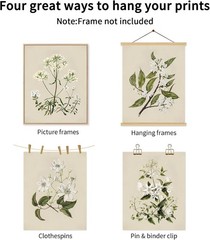 Vintage Botanical Wall Art Set of 6 Neutral Floral Canvas Wall Decor Wildflower