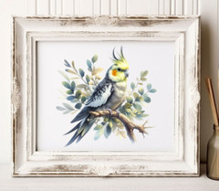 Cockatiel Wall Art Print, Cockatiel Art Print, Wall Art Decor, Home Decor
