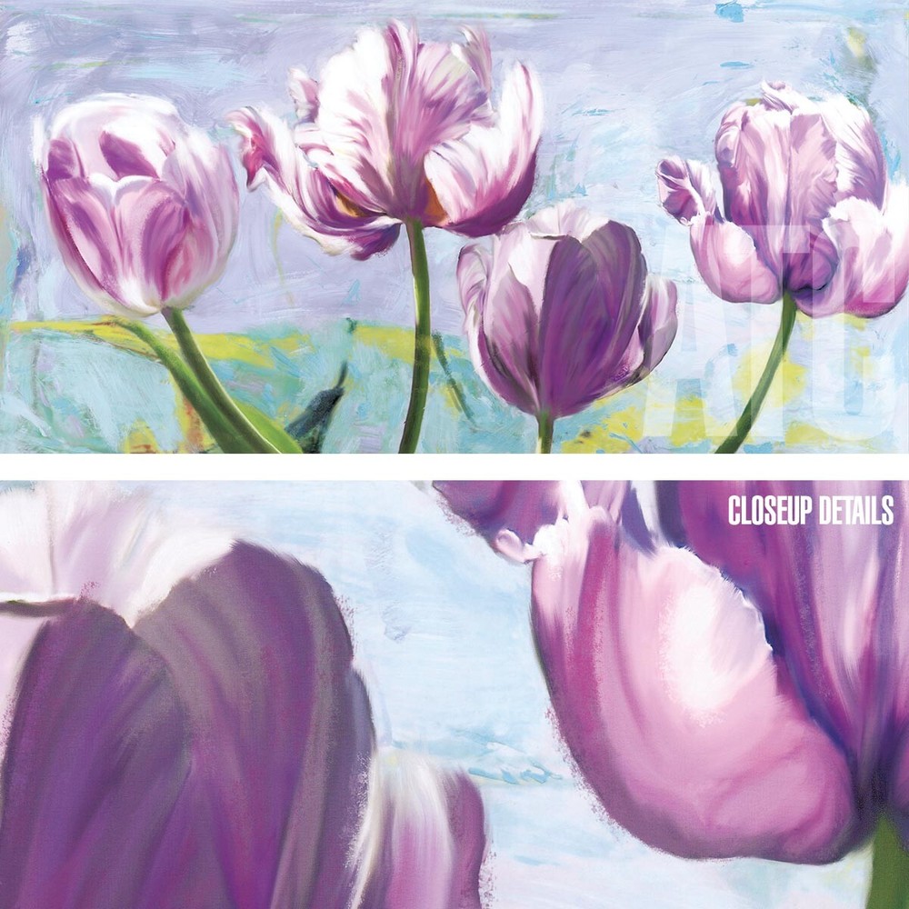 48W»x24H» LILAC TULIPS by ROBIN SADLER – VIOLET FLORAL CLOSEUP CHOICES of CANVAS