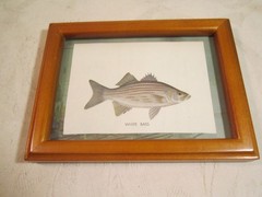 Vintage 1961 Tom Dolan Bass Fishing Framed Color Painting Picture Print (1)
