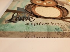 Owl Canvas Artwork picture Love is spoken here Aqua Brown Hanging 10×10 Inch