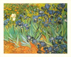 VINCENT VAN GOGH Irises 27.25″ x 33.5″ Offset Lithograph Impressionism