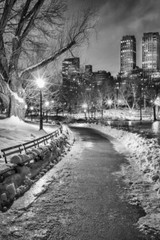 New York City Central Park Wintery Path B&W Photo Art Print Poster 12×18