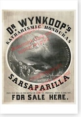 1848 Dr Wynkoops Katharismic Honduras Sarsaparilla 13 x 19 Advertising Poster