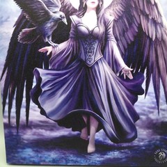 Raven Canvas Art Print Fairy Goddess Butterfly 9.75 x 7.5 in Fantasy