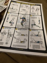 1984 Vintage Bruce Algra Weight Training Fitnus Chart Series Lot Of 12 16×11 In