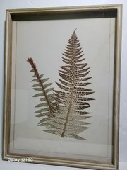 Brown Wood Fern Leaf Framed Wall Art with White Brown Plastic Framed 25.5-in H x