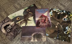 VTG 70/80s Scholastic Troll Book Club 5 Poster Art Lot Wildlife Animals Raccoon