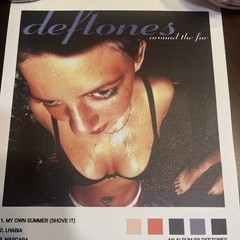 Deftones Around The Fur Album 8” X 12” Canvas Vinyl Print