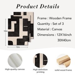 3 Pcs Black and White Abstract Wall Art Modern Minimalist Geometric Framed Ca…