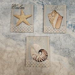 Coastal Beach Wall Art Set of 3 Canvas Prints Shell Starfish Nautical Decor Calm
