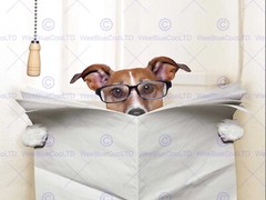 87349 MOCK UP JACK RUSSELL TOILET READING NEWSPAPER Decor Wall Print Poster