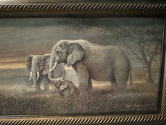 Ruane Manning Elephant Framed Wall Art 23×11.5 Wildlife Safari Decor