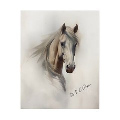 White Grey Horse Head Canvas Sketch Print Animal Wall Art, By Daz Art Gallery 01