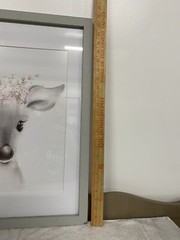 Stupell Industries Sketched Fluffy Deer Flowers, Design by Studio Q White Framed