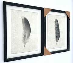 Set Of 2 Frames Wall Art Bird Feathers Hanging NEW/OPEN BOX.