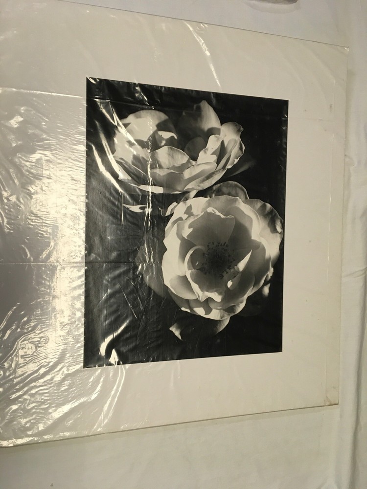 Black And White Flowers Art Print (vintage)