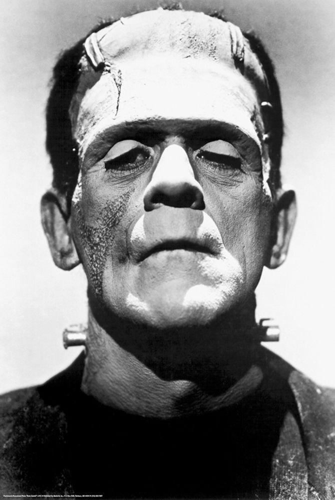 Frankenstein Poster 24 X 36