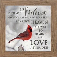 “When You Believe” – Framed Cardinal Sympathy Art by Summer Snow