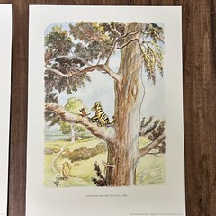 Winnie the Pooh Art Prints set of 2 Unframed 10 x 14 His Art Gallery Shepard