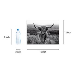 Highland Cow Wall Art Black and White Animal Wall Decor Canvas Cow Picture Hi…