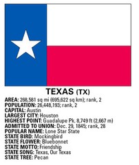 United States Flags Wall Poster 36″x24″ Rolled Paper