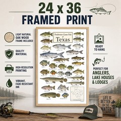 Texas Freshwater Fish Framed Poster 24×36 – Fishing Species Chart