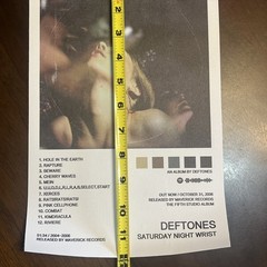 Deftones Saturday Night Wrist Album Cover 8” X 12” Canvas Vinyl Print