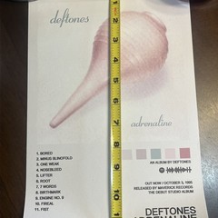 Deftones Adrenaline Album Cover 8” X 12” Canvas Vinyl Print