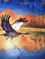 Grand Teton National Park Sand Hill Crane Canvas Poster Large 32.25”x 22.35”