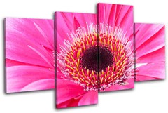 Gerbera Flowers Floral MULTI CANVAS WALL ART Picture Print VA