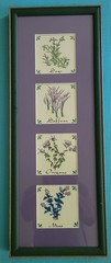 Sage Saffron Oregano & Mint in Purple Matte w/Green/Gold Frame 8.5″ x 22.5″ x 1