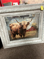 Vintage wooden framed Highland Cow picture