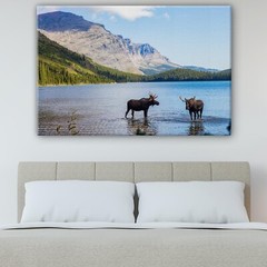 Moose in Montana Mountains Lakes Canvas Wall Art Print